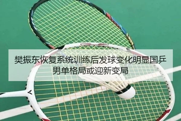 樊振东恢复系统训练后发球变化明显国乒男单格局或迎新变局